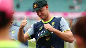 海港全队 海港全队